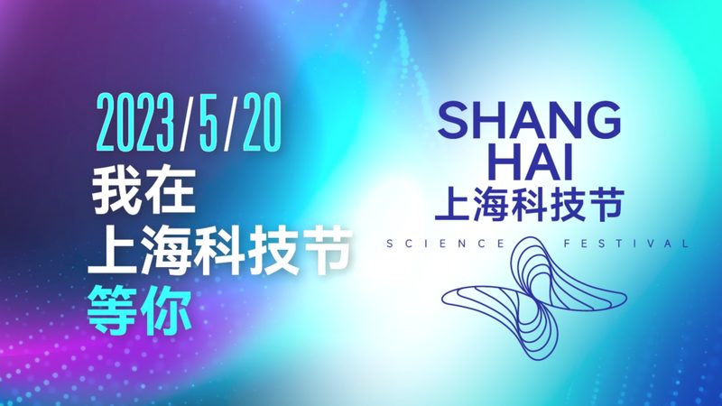 软件测试流程：确保软件质量的关键步骤